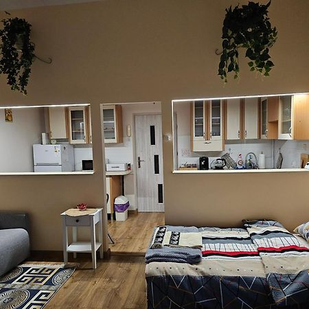 Apartament Old City Apartman Przemyśl Kültér fotó